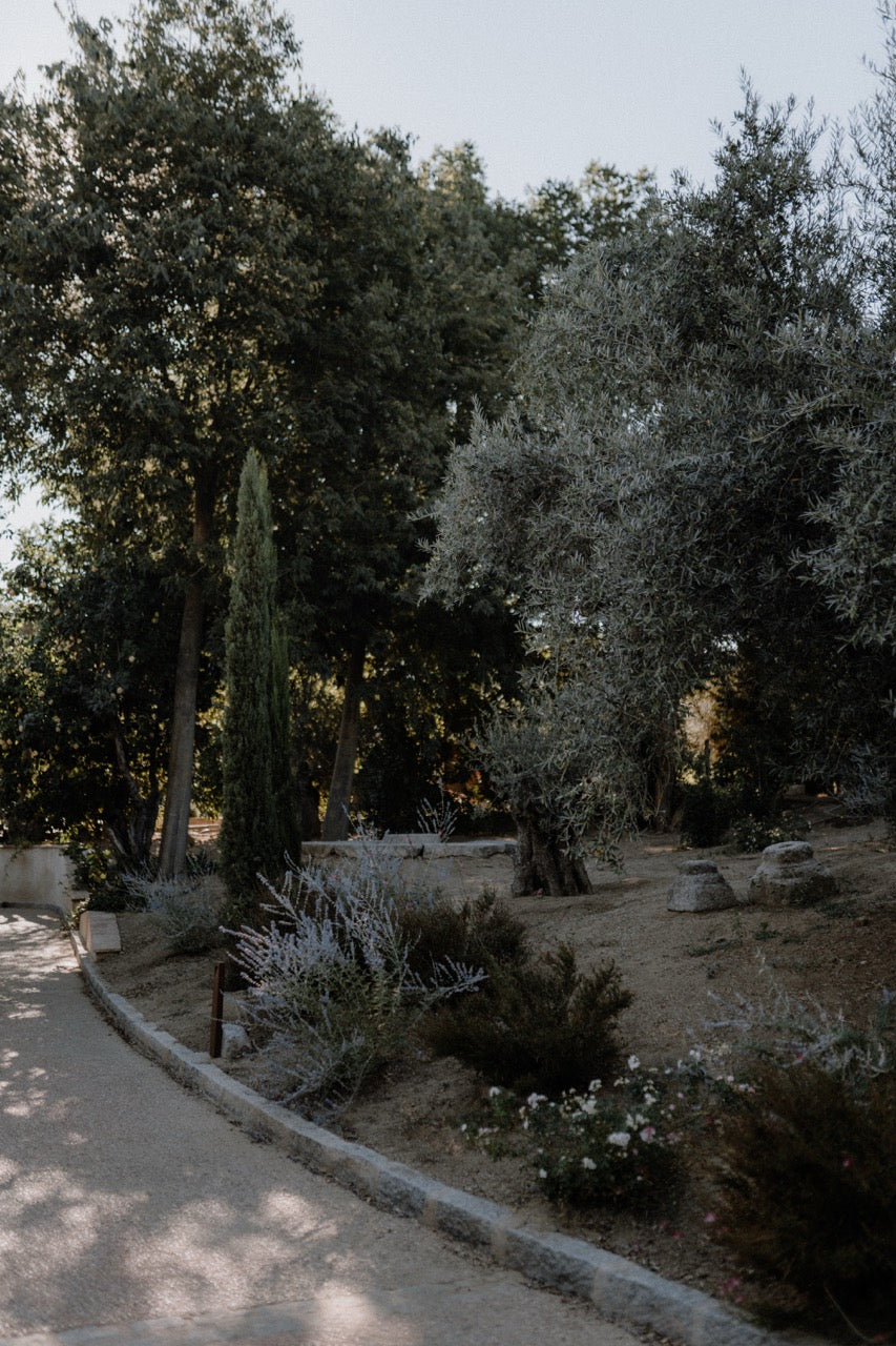 Natürliche Hochzeitslocation im Garten mit großen Bäumen und schattigen Wegen. Eine idyllische Hochzeitslocation im Freien mit schattigen Wegen, umgeben von Bäumen und natürlicher Vegetation, ideal für eine ruhige und charmante Hochzeit im Grünen.